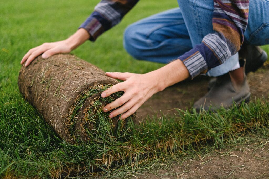 pexels-photo-5231236 Side view of unrecognizable male farmer laying grass turf roll on ground while working on agricultural plantation on blurred background