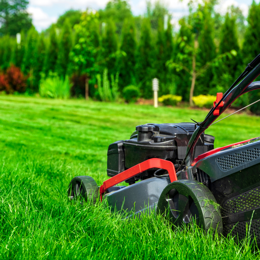 Profesjonalny greenkeeper