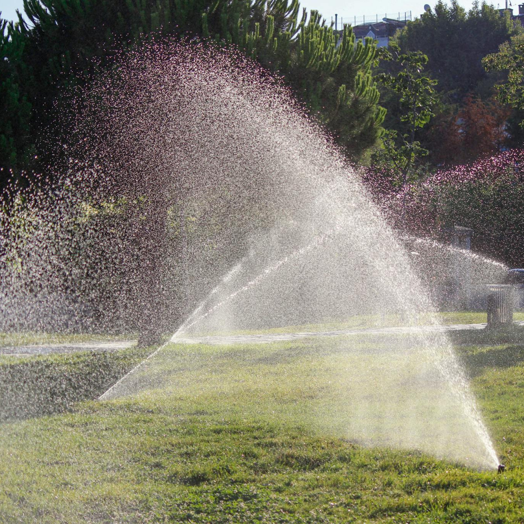 Systemy automatycznego nawadniania
